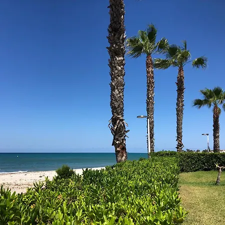 Sunny Sea Wave דניה